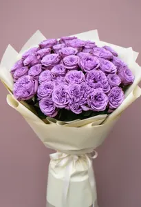 Zefir de Liliac
