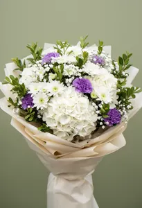 Hortensie Dor