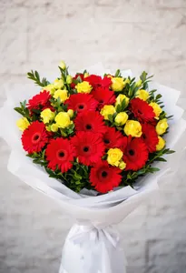 Gerbera Strălucire