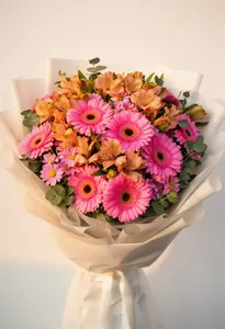 Gerbera Senin