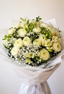 Ranunculus Acord