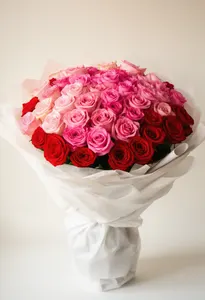 Pink Red Primăvară