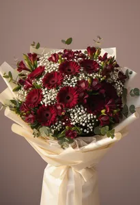 Armonie gerbera burgund