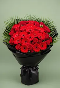 Gerbera Ardentă