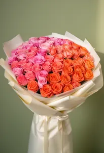 Coral Ombre Romantism