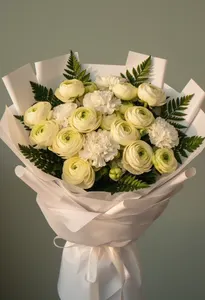 Ranunculus Regal