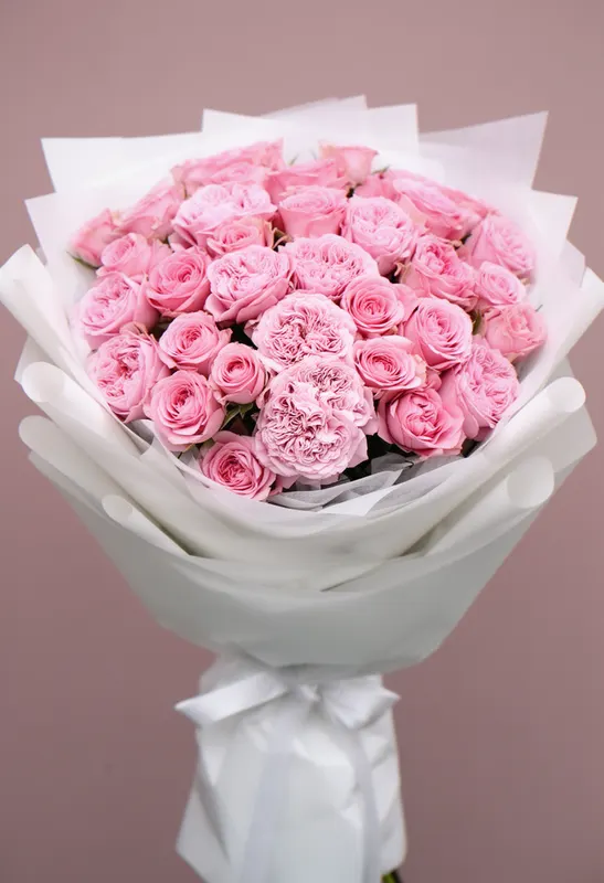 Pomarose Primăverii