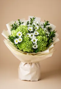 Hortensie Verde Revital