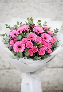 Gerbera Intimă