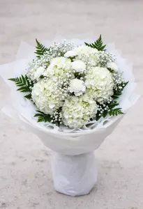 Eclat Hortensie