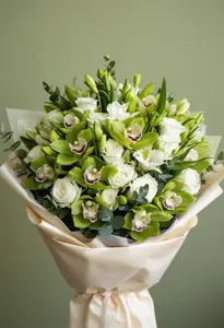 Reculegere Verde