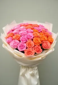 Coral Ombre Clasic