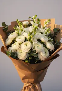 Ranunculus Încredere