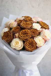 Toffee Vendela Eleganță