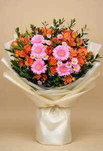 Gerbera Speranță