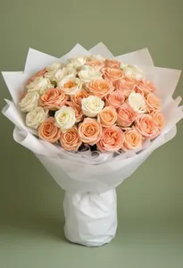 Cream to peach Vara