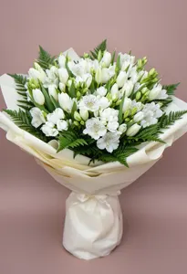 Tulipul Regal