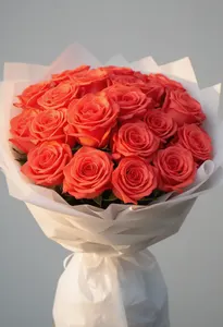 Amsterdam Flăcări Coral