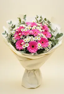 Gerbera Seducție Roz