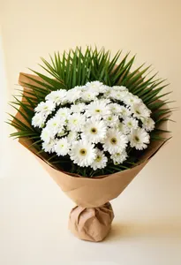 Gerbera de Porțelan