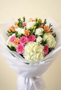 Vis Hortensie Crem