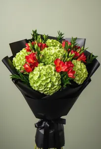 Hortensie Valentina