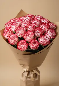 Sweetness Vibrant