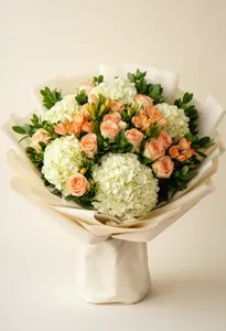 Rapsodie Hortensie
