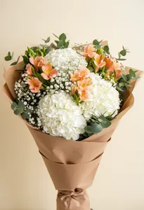 Puritate Hortensie