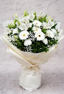 Esență de Gerbera