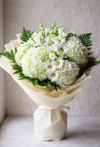 Căldură Hortensie Albă