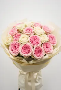 Pomarose Mandala Primăvară