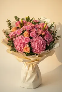 Hortensie Miraj
