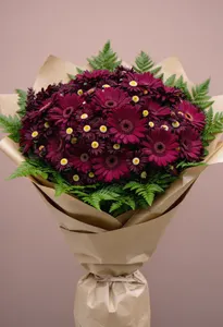 Gerbera Toamnă Caldă