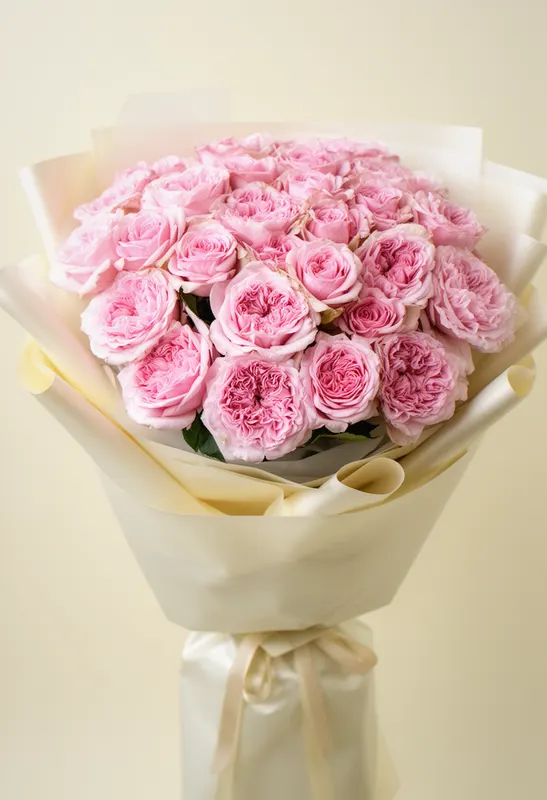 Pomarose Nuanță