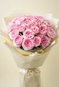Pomarose Nuanță