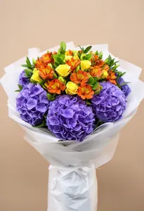 Hortensie Majestate