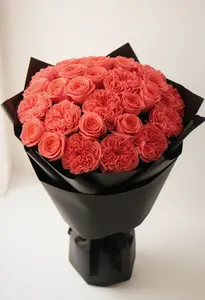Dragonul Coral