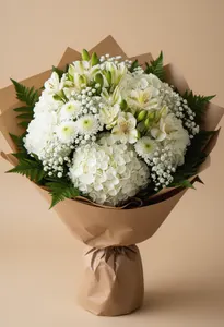 Hortensie Serenitate Verde