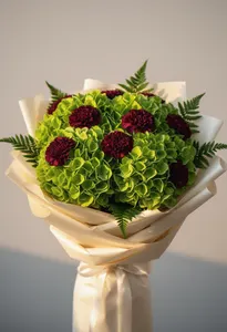Hortensie Verde Valențiană
