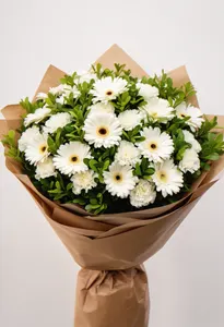 Splendoare Albă Gerbera