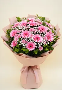 Gerbera Corporativă