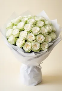 White O Hara Liniște