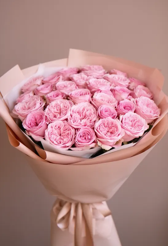 Pomarose Simplitate