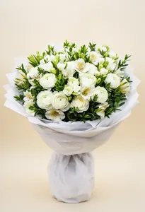 Ranunculus Albă Serenă