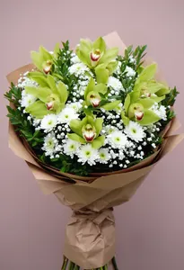 Orhidee Verde Vindecare