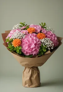 Serenata Hortensie