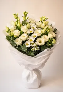 Lisianthus Cremă Serena