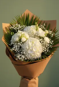 Hortensie Toamna