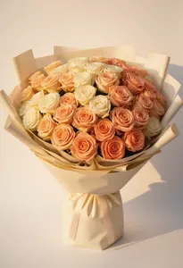 Cream Peach Toamna